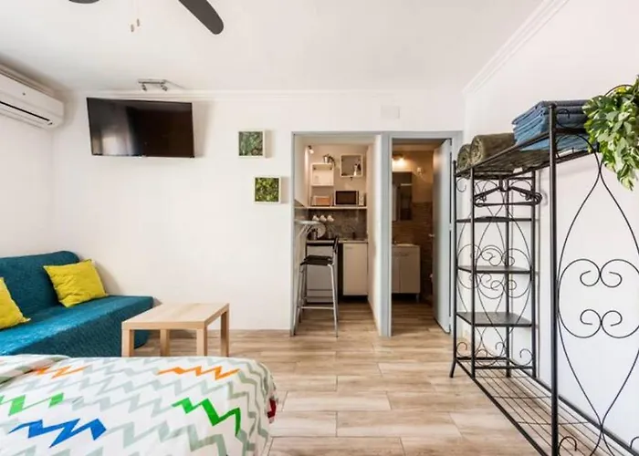 Pedro Happy * 托雷莫利诺斯