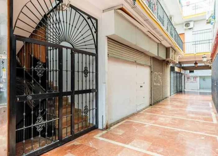 Pedro Happy 托雷莫利诺斯